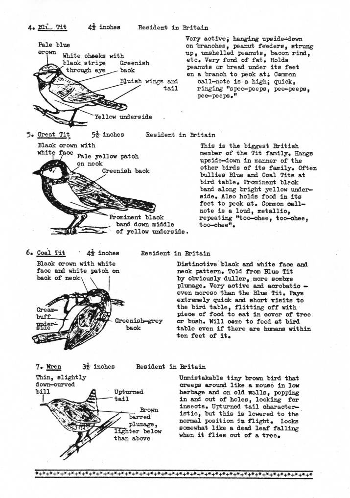 Identifying your Garden Birds
Part 1 Jan 1973