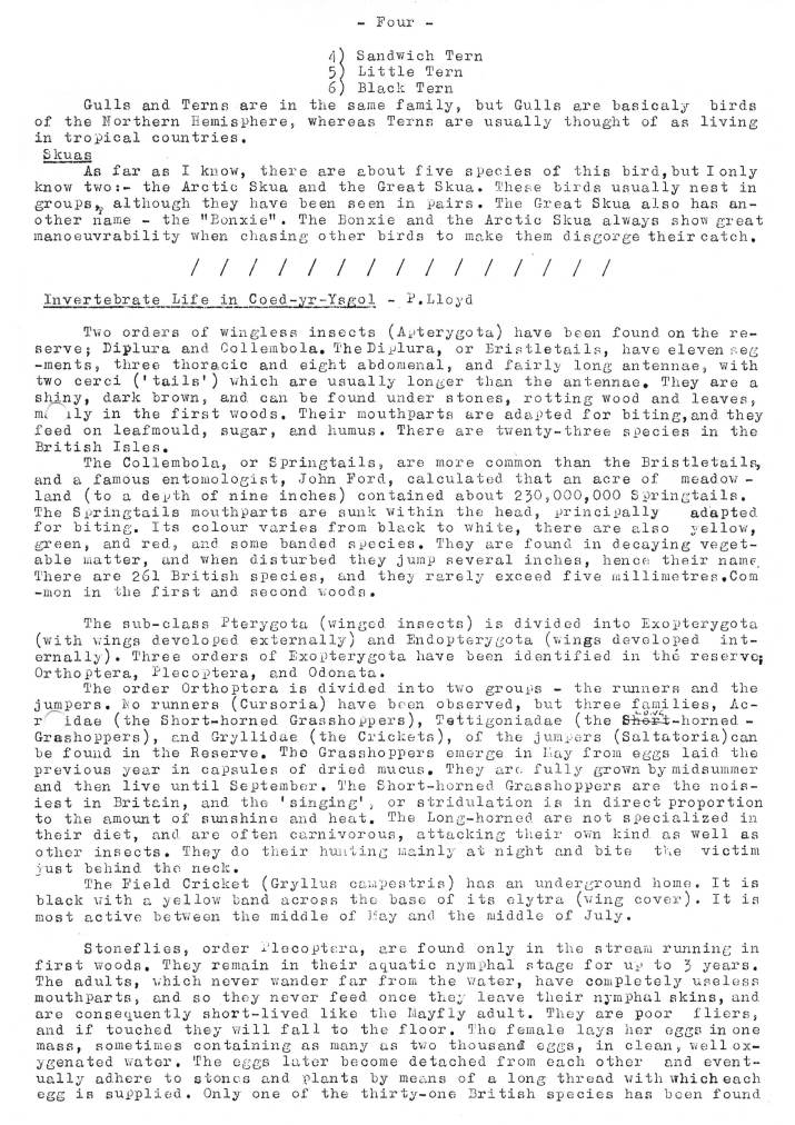 Natural History Gazette
No. 13 December 1974