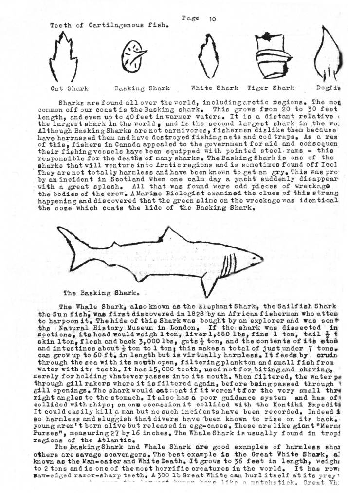 Natural History Gazette
No. 9 March 1974