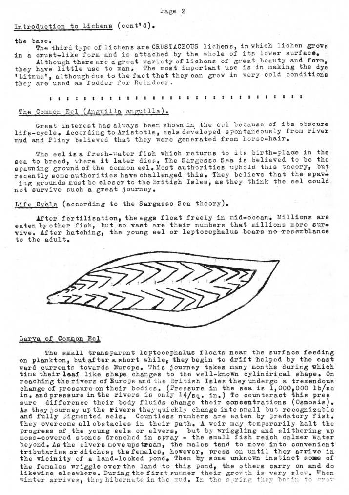 Natural History Gazette
No. 9 March 1974