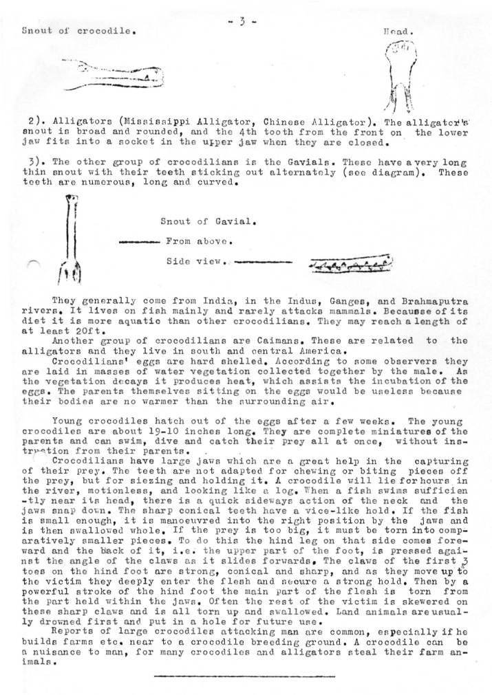Natural History Gazette
No. 12 November 1974