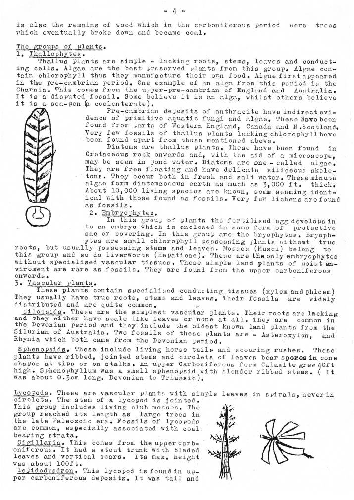 Natural History Gazette
No. 11 October 1974