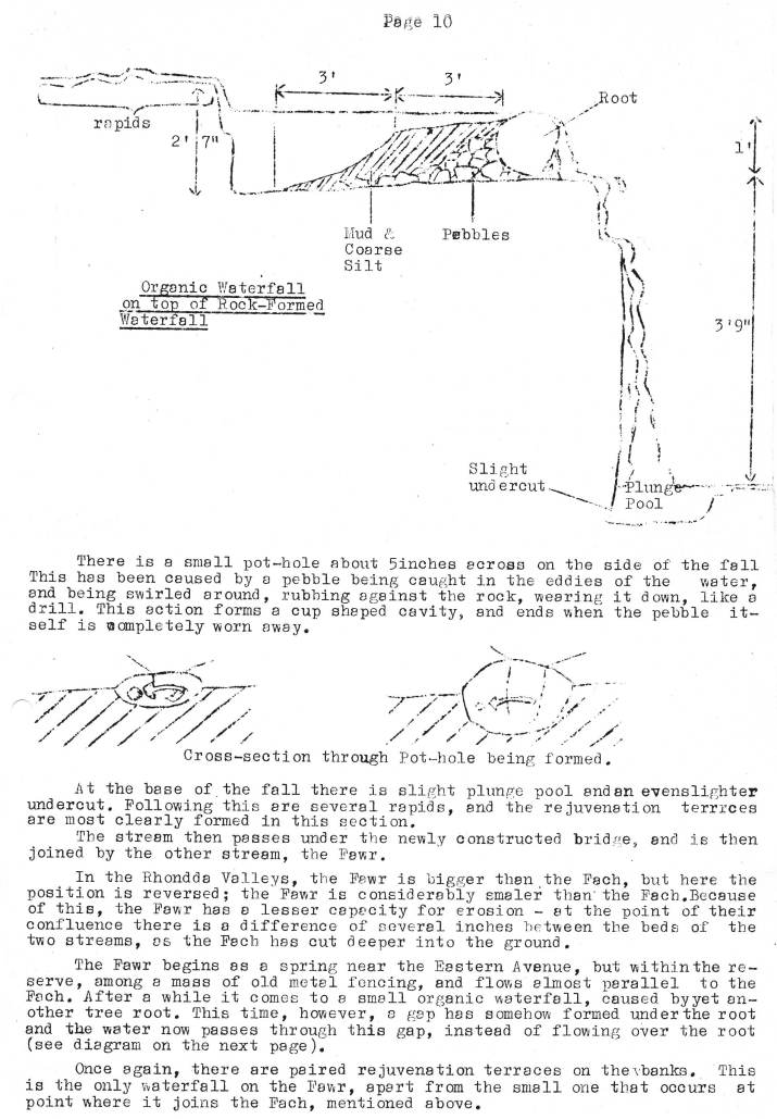 Natural History Gazette
No. 17 July 1975