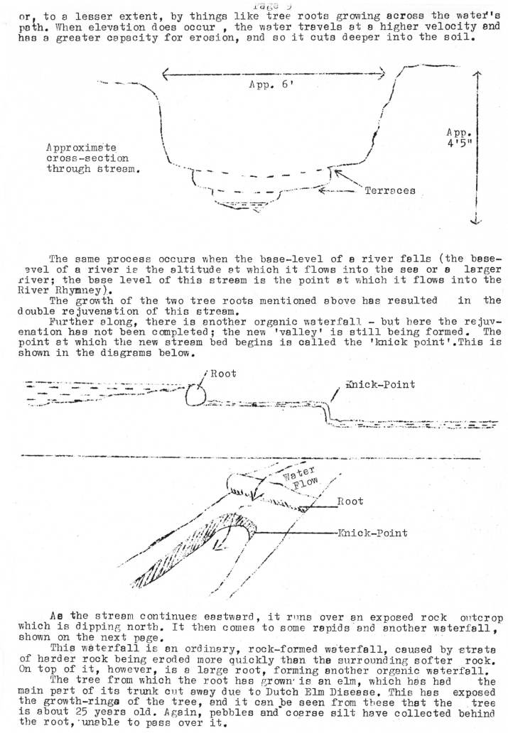 Natural History Gazette
No. 17 July 1975