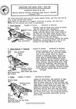 Howardian High School
  Natural History Society
  Information Sheets 1972-76