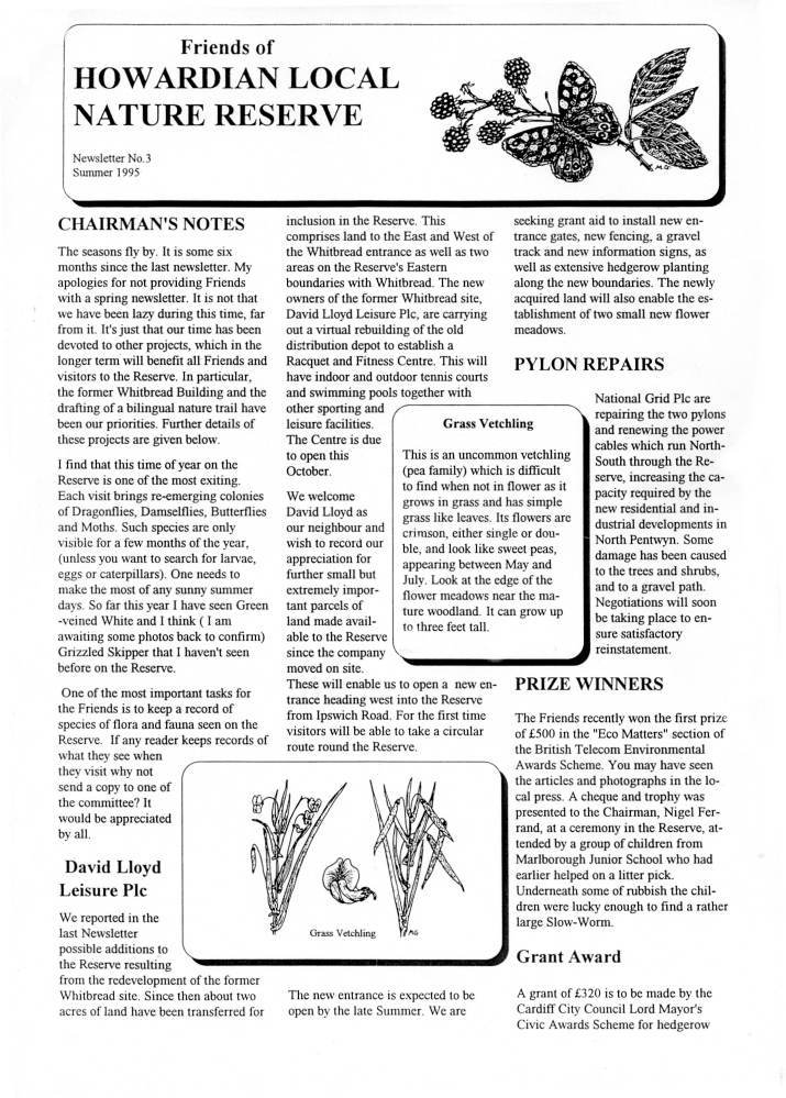 Newsletter Summer 1995 no. 3