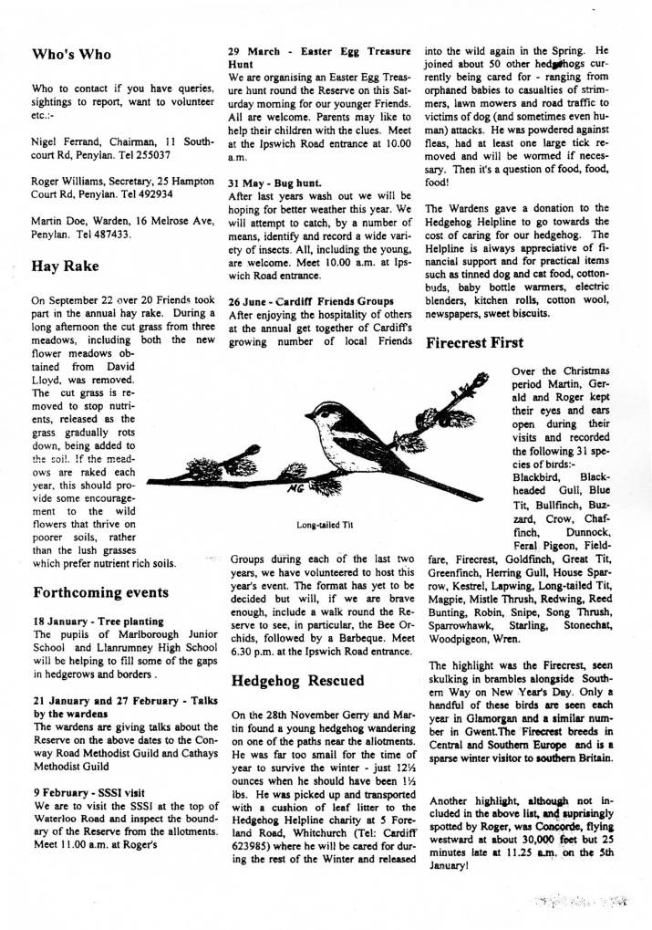 Newsletter Winter 1996 no. 6