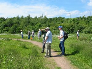 Howardian Local Nature Reserve Orchid Walk