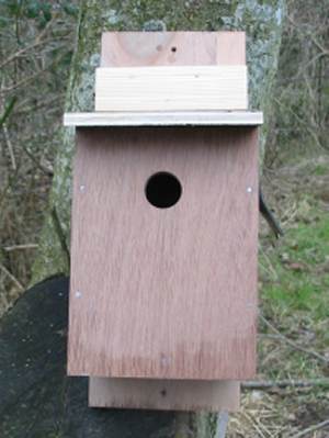 Howardian Local Nature Reserve 
  Aperture Bird box