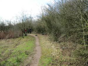 Howardian Local Nature Reserve Cleared and widened section of path