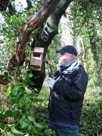 Howardian Local Nature Reserve 
  Placing an Open fronted box on a tree