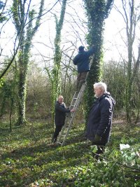 Howardian Local Nature Reserve 
  Climbing the ladder