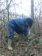 Howardian Local Nature reserve 
  Planting to mask fence lines
