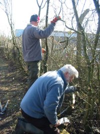Howardian Local Nature Reserve 
  Hedge Laying