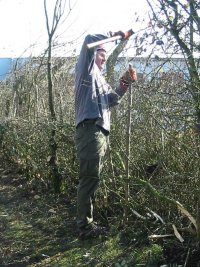 Howardian Local Nature Reserve 
  Hedge Laying