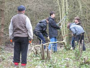 Howardian Local Nature Reserve 
 29th Scouts Group, Pontcanna, Cardiff