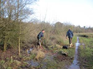 Howardian Local Nature Reserve 
  thinning