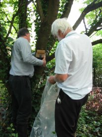 Howardian Local Nature Reserve
    Removing the Dormouse box from the tree