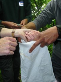 Howardian Local Nature Reserve
    Placing the Dormouse in the weighing bag