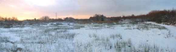 Howardian Local Nature Reserve
  Snow on Wildflower Meadow
  Dawn 3rd February 2009