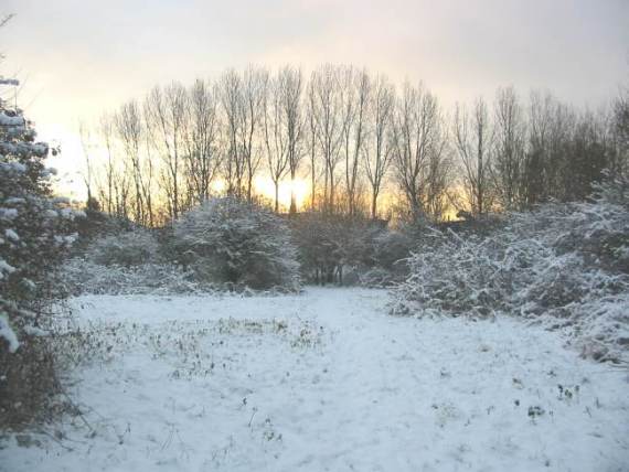 Howardian Local Nature Reserve Snow 2009