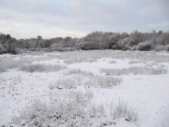 Howardian Local Nature Reserve Snow Nov 2010