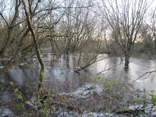 Howardian Local Nature Reserve