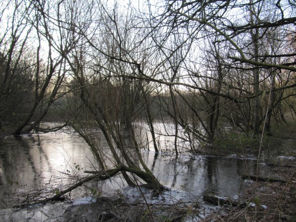 Howardian Local Nature Reserve