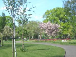 Waterloo Gardens
  Edwardian flower beds